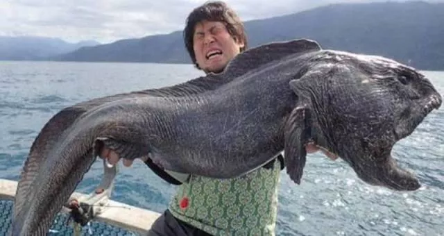 Picdump 134 - #30 