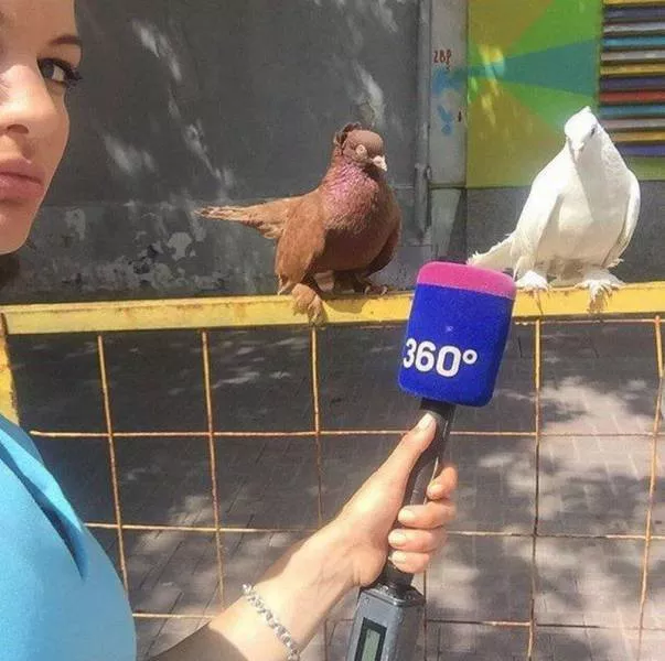 Picdump 134 - #33 