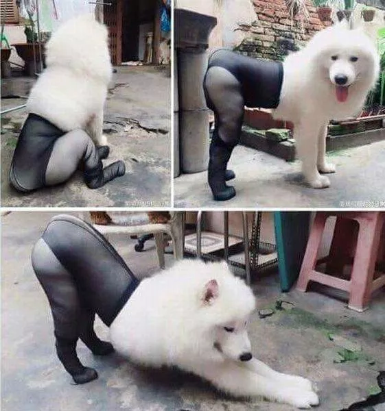 Picdump 134
