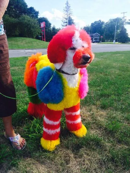 Picdump 134 - #42 