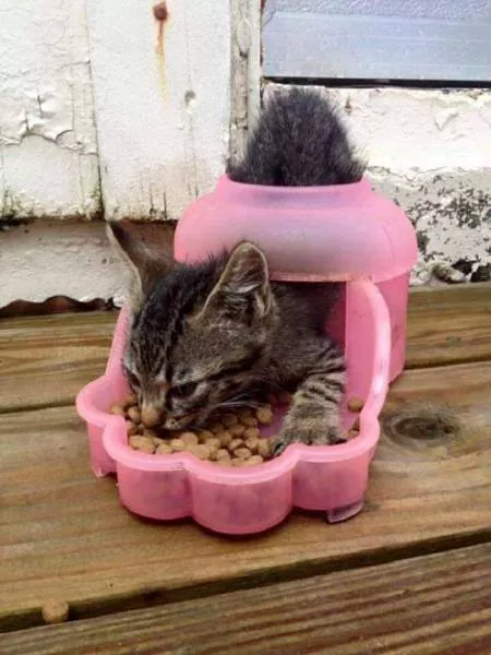Picdump 134 - #53 
