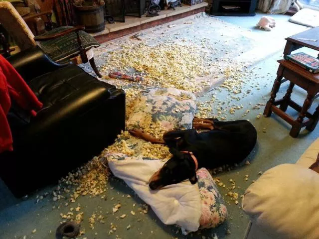 Picdump 134 - #84 