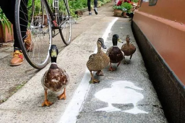 Picdump 135 - #33 