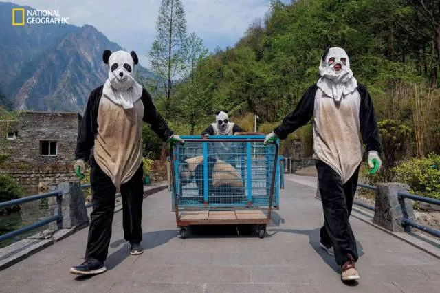 Picdump 135 - #39 