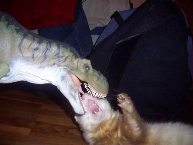 Picdump 135 - #45 Picdump 135 - #45