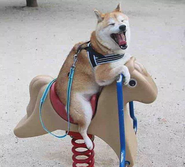 Picdump 135 - #54 Picdump 135 - #54