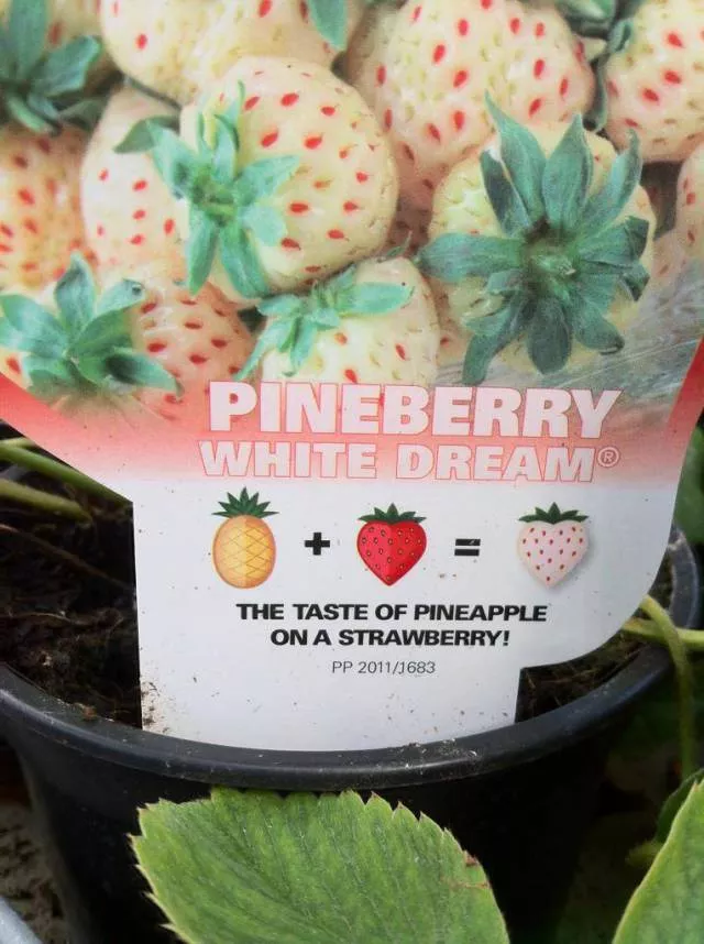 Picdump 135 - #6 