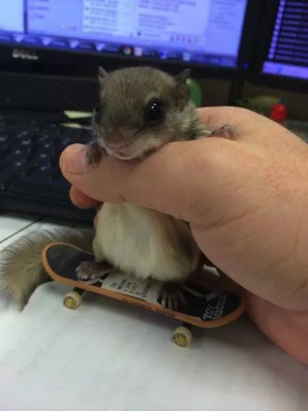 Picdump 135 - #8 