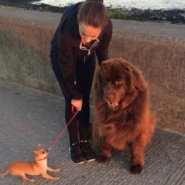 Picdump 135 - #9 