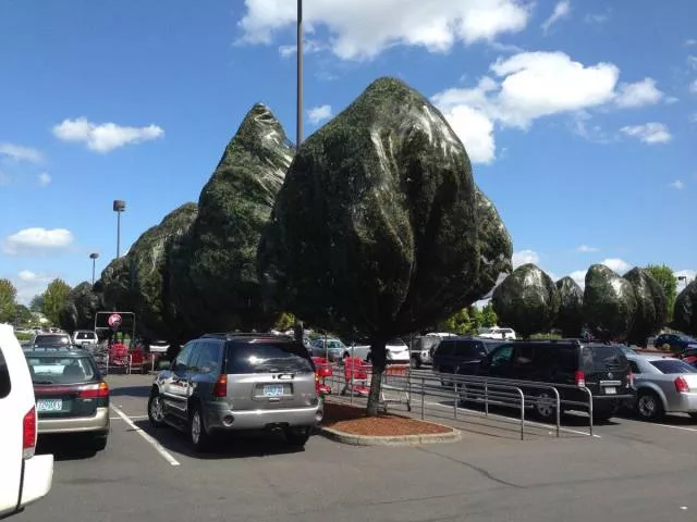Picdump 135 - #95 