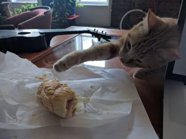 Picdump 135 - #96 