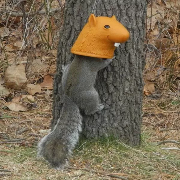 Picdump 136 - #18 