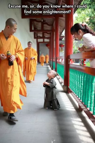 Picdump 136 - #19 