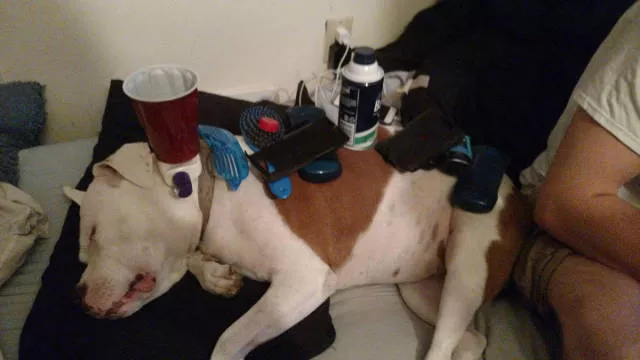 Picdump 136 - #23 