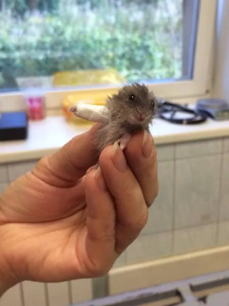 Picdump 136 - #43 