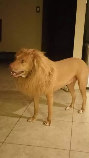 Picdump 137 - #35 