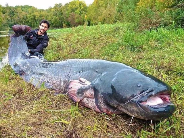 Picdump 137 - #4 