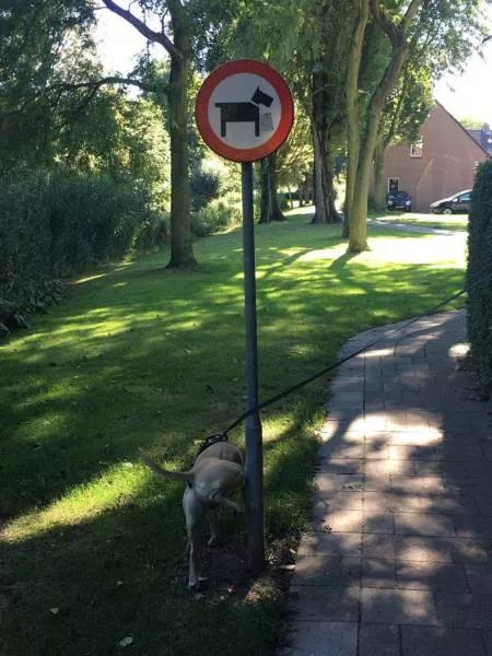 Picdump 137 - #47 