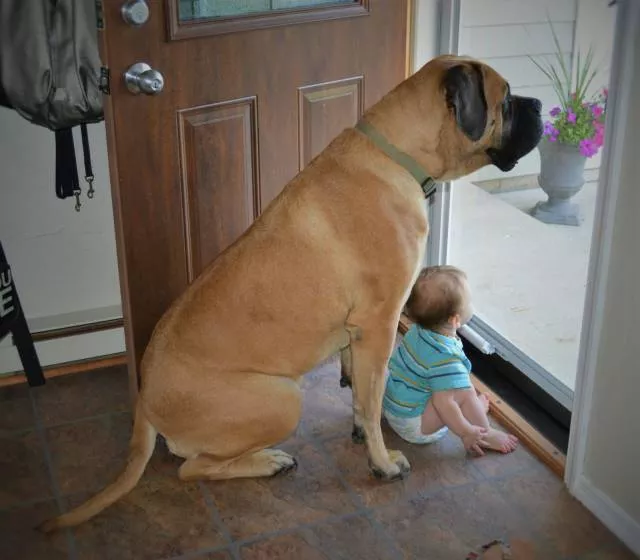 Picdump 137 - #48 