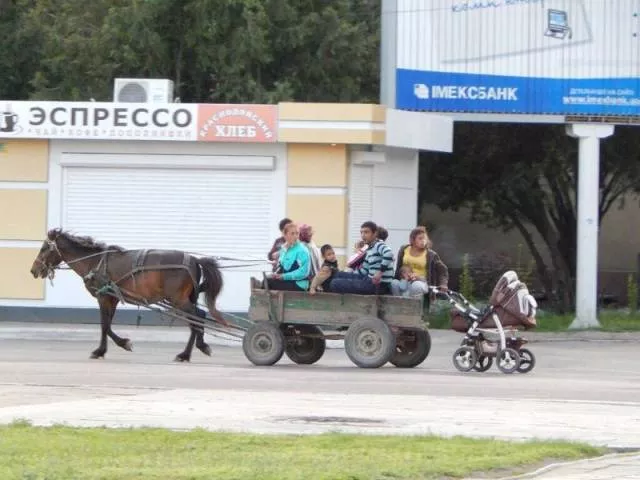 Picdump 137 - #60 