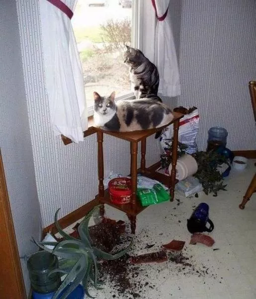 Picdump 137 - #64 