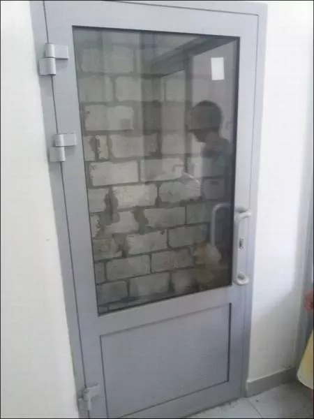 Picdump 137 - #65 