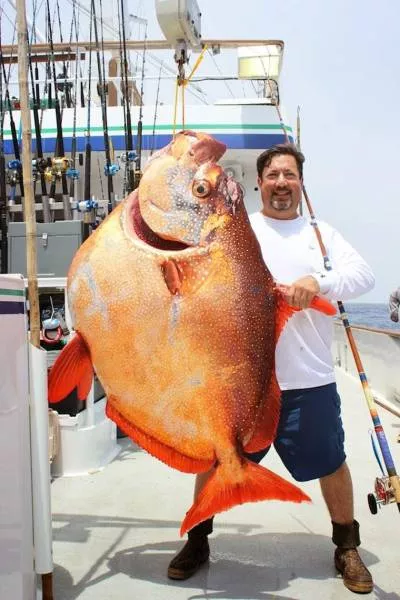 Picdump 137 - #9 