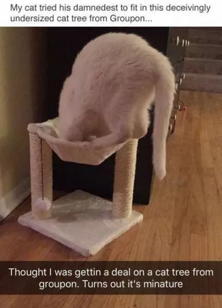 Picdump 137 - #95 