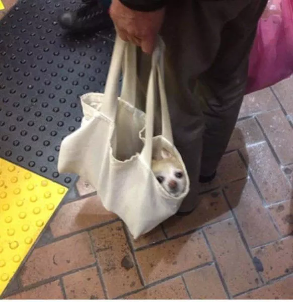 Picdump 138 - #17 