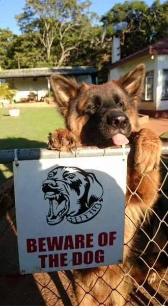 Picdump 138 - #29 