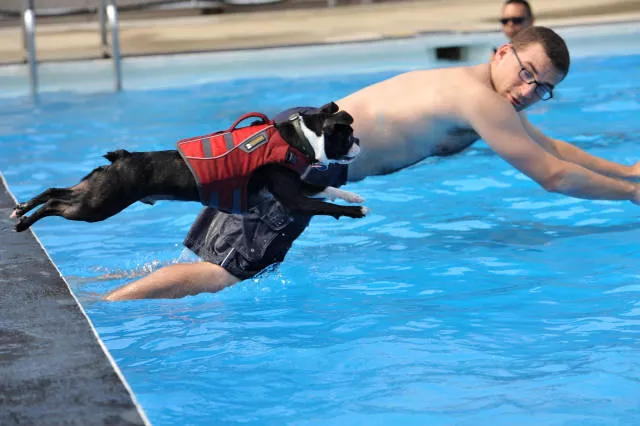 Picdump 138 - #4 