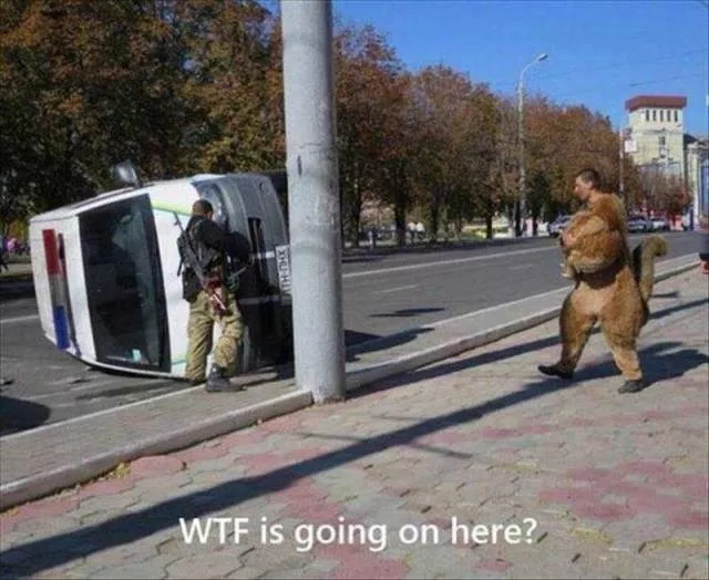 Picdump 30 - #12 
