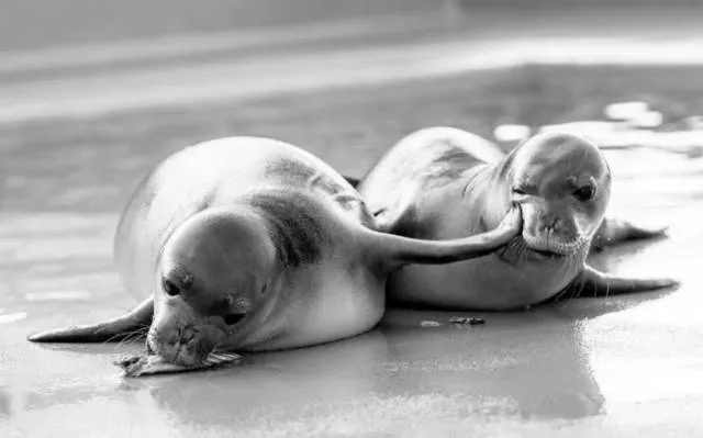 Picdump 30 - #16 