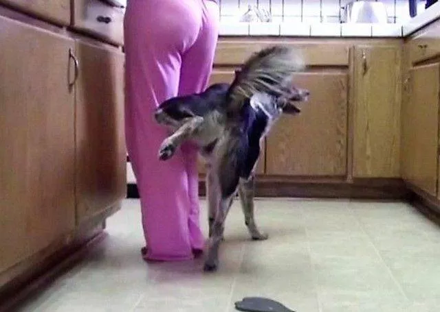 Picdump 30 - #2 