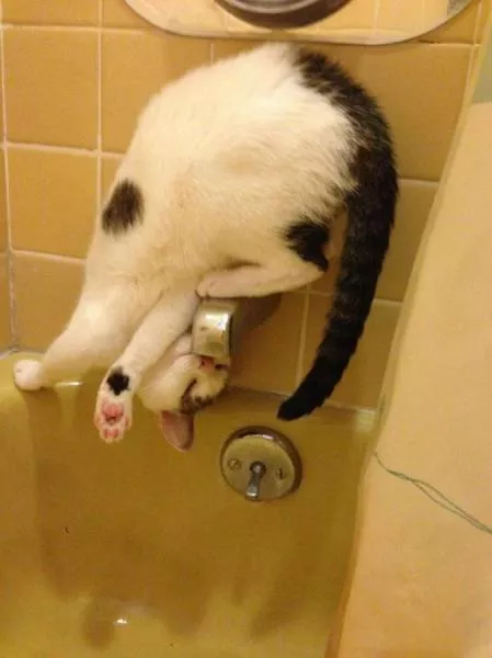 Picdump 30 - #28 