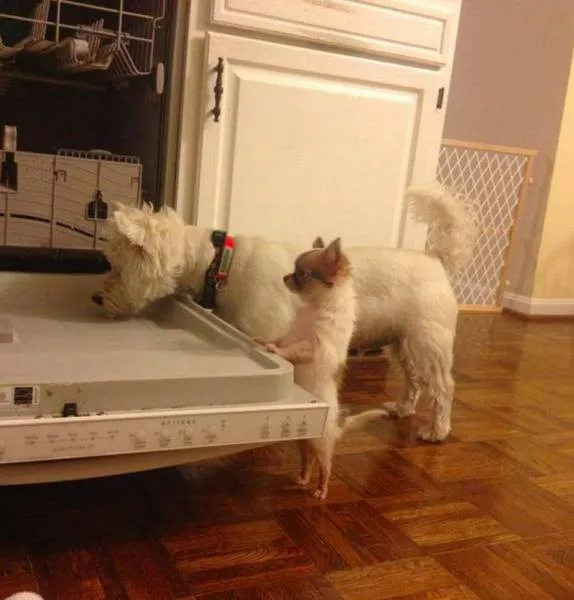 Picdump 30 - #30 