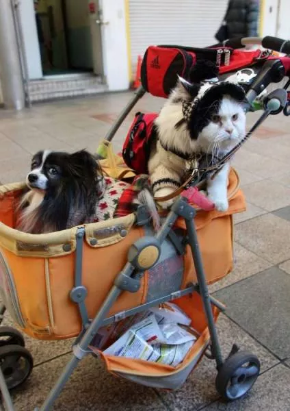 Picdump 30 - #34 