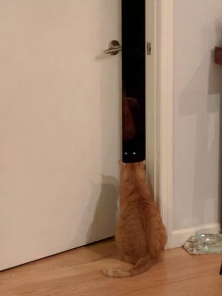 Picdump 30 - #47 