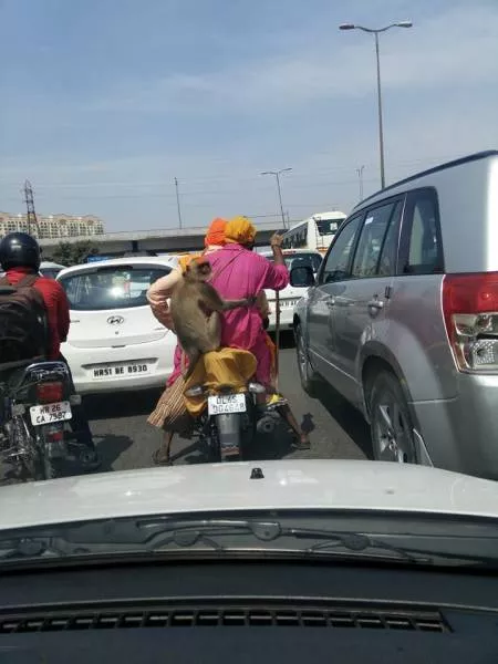 Picdump 30 - #48 