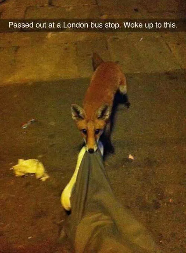 Picdump 30 - #51 