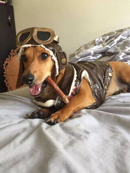 Picdump 30 - #52 