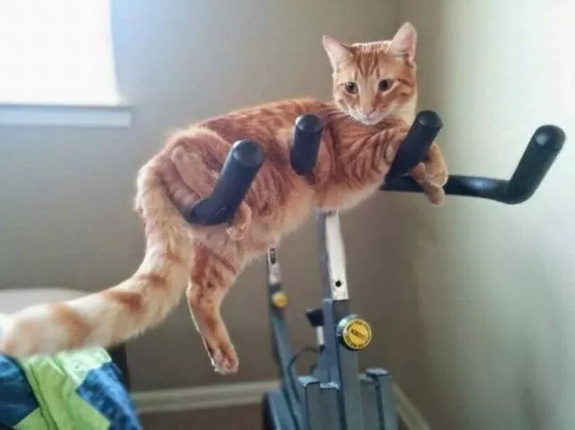 Picdump 30 - #55 