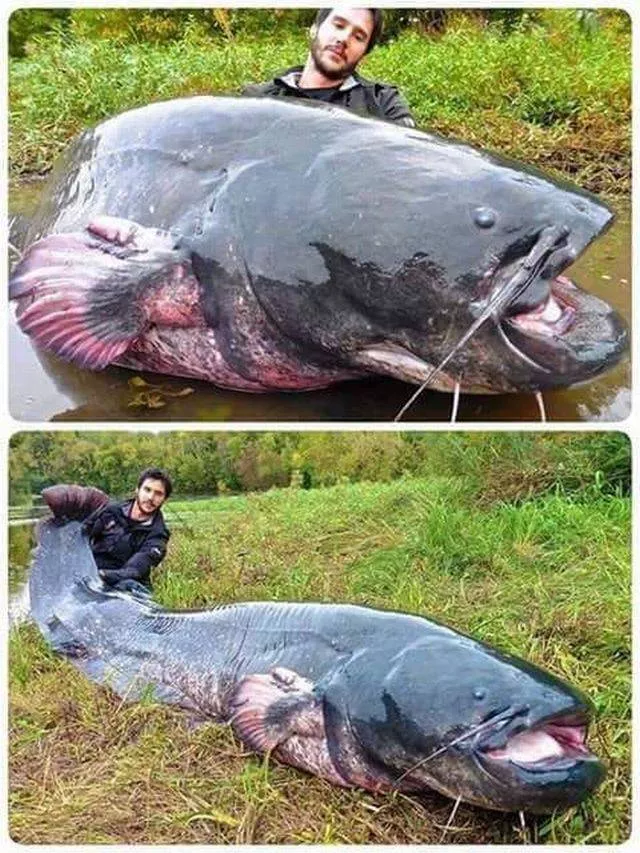 Picdump 30 - #64 