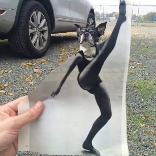 Picdump 139 - #29 