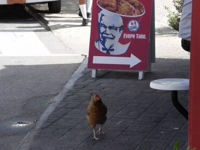 Picdump 140 - #10 