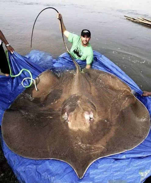 Picdump 140 - #16 