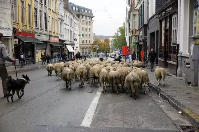 Picdump 140 - #39 