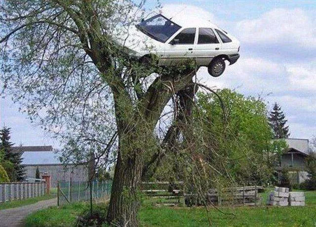Picdump 140 - #66 