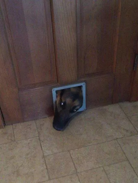 Picdump 140 - #72 