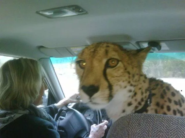 Picdump 140 - #95 